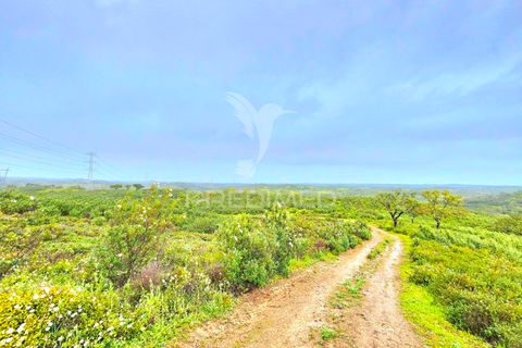 Helårsgrund i Almodovar, Beja, Almodovar - € 150.000 | Ref: 043885 - foto 8