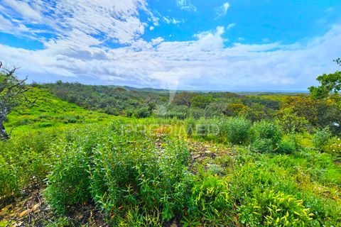 Helårsgrund i Almodovar, Beja, Almodovar - € 150.000 | Ref: 043885 - foto 9
