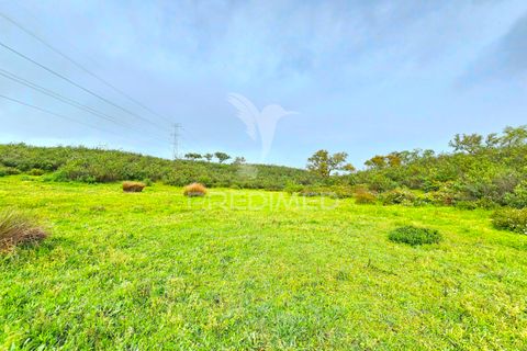 Helårsgrund i Almodovar, Beja, Almodovar - € 150.000 | Ref: 043885 - foto 10