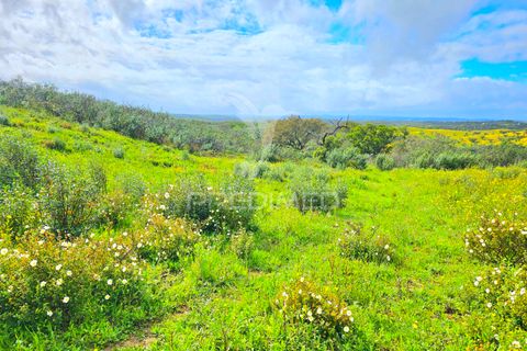 Helårsgrund i Almodovar, Beja, Almodovar - € 150.000 | Ref: 043885 - foto 11
