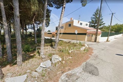 Farm hus i Sintra, Lisbon, Sintra - € 895.000 | Ref: 043936 - foto 33