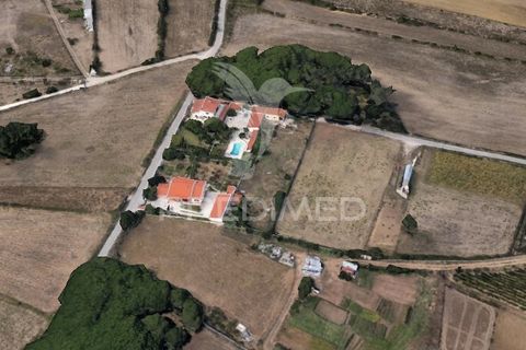 Farm hus i Sintra, Lisbon, Sintra - € 895.000 | Ref: 043936 - foto 34