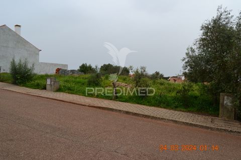 Terra a Alandroal, Evora, Alandroal - € 18.000 | Ref: 044198 - foto 9
