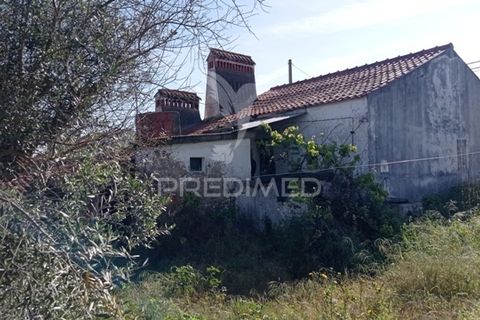 Byhus i Abrantes, Santarem, Abrantes - € 59.000 | Ref: 044300 - foto 2