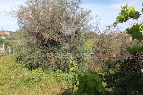 Byhus i Abrantes, Santarem, Abrantes - € 59.000 | Ref: 044300 - foto 4