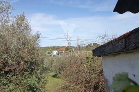 Byhus i Abrantes, Santarem, Abrantes - € 59.000 | Ref: 044300 - foto 5