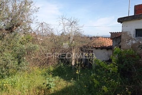 Byhus i Abrantes, Santarem, Abrantes - € 59.000 | Ref: 044300 - foto 6