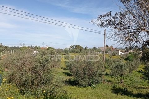 Byhus i Abrantes, Santarem, Abrantes - € 59.000 | Ref: 044300 - foto 7