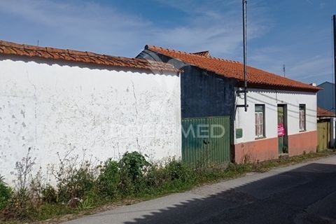 Byhus i Abrantes, Santarem, Abrantes - € 59.000 | Ref: 044300 - foto 22