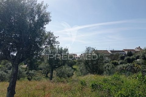 Byhus i Abrantes, Santarem, Abrantes - € 59.000 | Ref: 044300 - foto 23