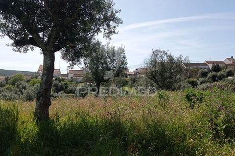 Byhus i Abrantes, Santarem, Abrantes - € 59.000 | Ref: 044300 - foto 24