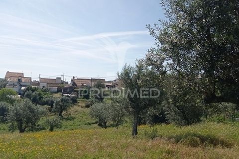 Byhus i Abrantes, Santarem, Abrantes - € 59.000 | Ref: 044300 - foto 25