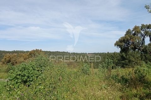 Byhus i Abrantes, Santarem, Abrantes - € 59.000 | Ref: 044300 - foto 26
