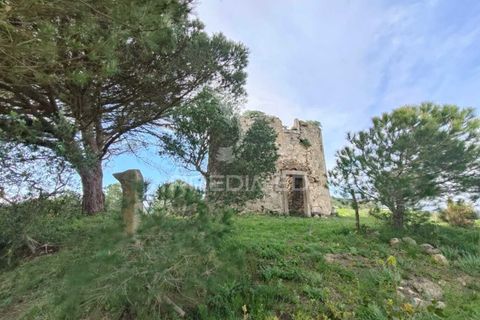 Helårsgrund i Alenquer, Lisbon, Alenquer - € 75.000 | Ref: 044530 - foto 1