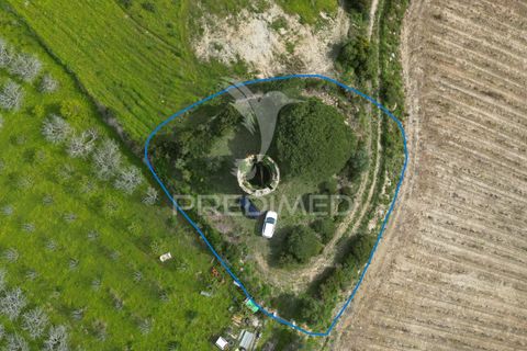 Helårsgrund i Alenquer, Lisbon, Alenquer - € 75.000 | Ref: 044530 - foto 2
