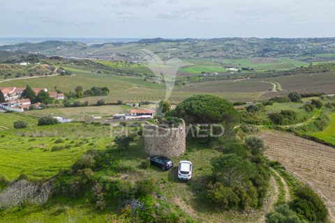 Helårsgrund i Alenquer, Lisbon, Alenquer - € 75.000 | Ref: 044530 - foto 4