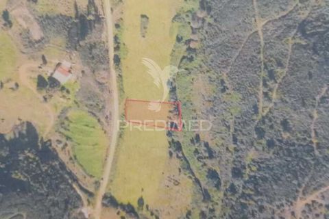 Helårsgrund i Monchique, Faro, Monchique - € 18.900 | Ref: 044838 - foto 1