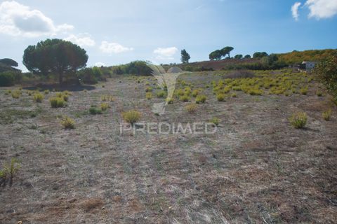 Helårsgrund i Alenquer, Lisbon, Alenquer - € 270.000 | Ref: 045017 - foto 8