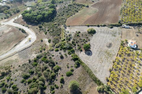 Helårsgrund i Alenquer, Lisbon, Alenquer - € 270.000 | Ref: 045017 - foto 9