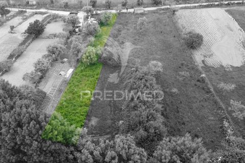 Terra a Celorico da Beira, Guarda, Celorico da Beira - € 6.000 | Ref: 045141 - foto 2