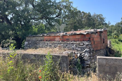 Byhus i Batalha, Leiria, Batalha - € 37.000 | Ref: 045208 - foto 8