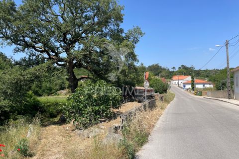 Byhus i Batalha, Leiria, Batalha - € 37.000 | Ref: 045208 - foto 11