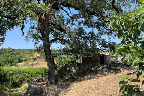 Byhus i Batalha, Leiria, Batalha - € 37.000 | Ref: 045208 - foto 12