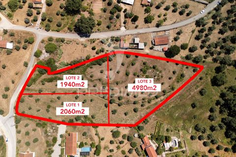 Helårsgrund i Ourem, Santarem, Ourem - € 40.000 | Ref: 045255 - foto 1