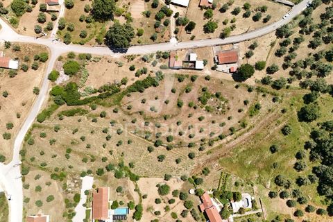 Helårsgrund i Ourem, Santarem, Ourem - € 40.000 | Ref: 045255 - foto 2