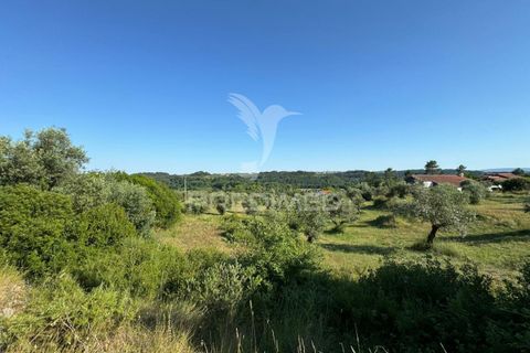 Helårsgrund i Ourem, Santarem, Ourem - € 40.000 | Ref: 045255 - foto 3