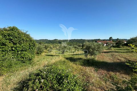 Helårsgrund i Ourem, Santarem, Ourem - € 40.000 | Ref: 045255 - foto 4