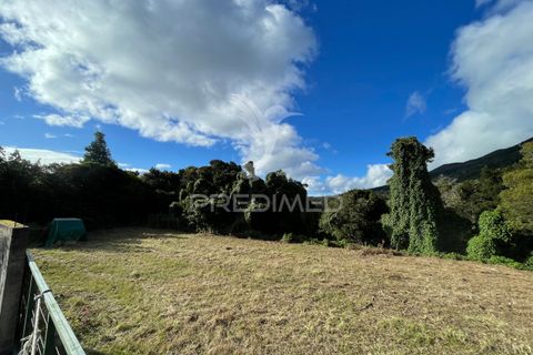 Tomt i Velas, Sao Jorge, Velas - € 75 000 | Ref: 045283 - foto 2