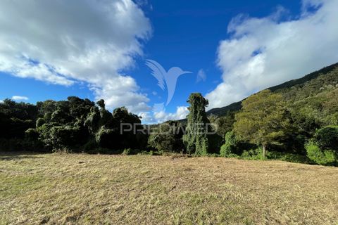 Tomt i Velas, Sao Jorge, Velas - € 75 000 | Ref: 045283 - foto 3