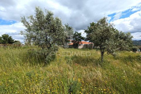 Helårsgrund i Viseu, Viseu, Viseu - € 70.000 | Ref: 045361 - foto 2