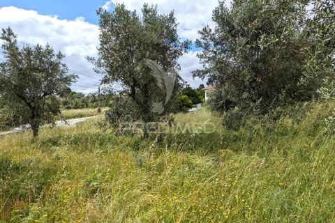 Helårsgrund i Viseu, Viseu, Viseu - € 70.000 | Ref: 045361 - foto 3