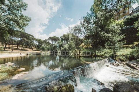 Helårsgrund i Viseu, Viseu, Viseu - € 70.000 | Ref: 045361 - foto 5