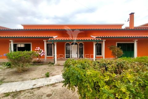 Byhus i Pombal, Leiria, Pombal - € 300.000 | Ref: 045477 - foto 3