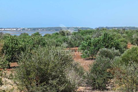 Farm hus i Castro Marim, Faro, Castro Marim - € 2.990.000 | Ref: 045685 - foto 22