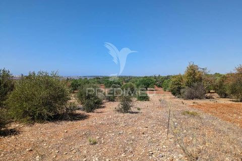 Farm hus i Castro Marim, Faro, Castro Marim - € 2.990.000 | Ref: 045685 - foto 24