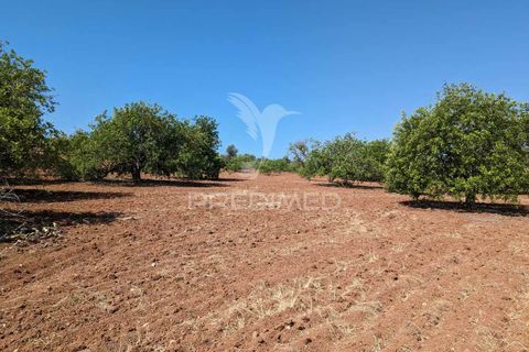 Farm hus i Castro Marim, Faro, Castro Marim - € 2.990.000 | Ref: 045685 - foto 26