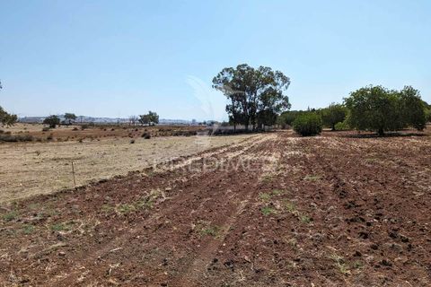 Farm hus i Castro Marim, Faro, Castro Marim - € 2.990.000 | Ref: 045685 - foto 27