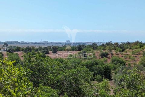 Farm hus i Castro Marim, Faro, Castro Marim - € 2.990.000 | Ref: 045685 - foto 29