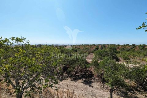Farm hus i Castro Marim, Faro, Castro Marim - € 2.990.000 | Ref: 045685 - foto 30