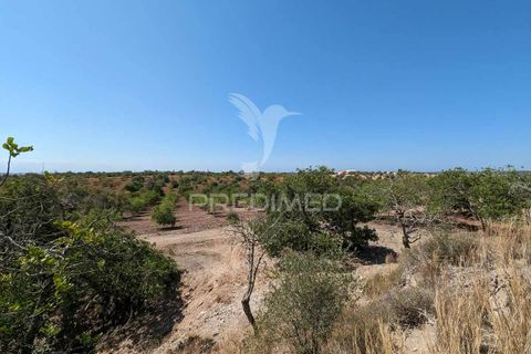 Farm hus i Castro Marim, Faro, Castro Marim - € 2.990.000 | Ref: 045685 - foto 31
