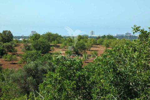 Farm hus i Castro Marim, Faro, Castro Marim - € 2.990.000 | Ref: 045685 - foto 32