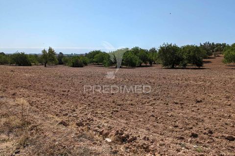 Farm hus i Castro Marim, Faro, Castro Marim - € 2.990.000 | Ref: 045685 - foto 35