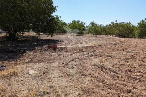 Farm hus i Castro Marim, Faro, Castro Marim - € 2.990.000 | Ref: 045685 - foto 37