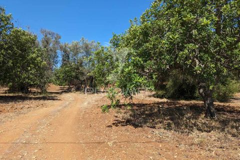 Farm hus i Castro Marim, Faro, Castro Marim - € 2.990.000 | Ref: 045685 - foto 38