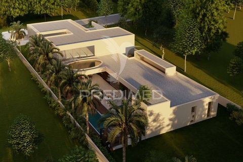 Helårsgrund i Agueda, Aveiro, Agueda - € 120.000 | Ref: 046332 - foto 3