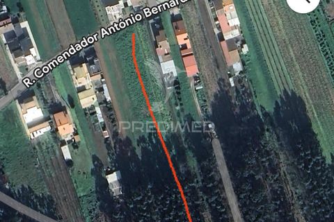 Helårsgrund i Agueda, Aveiro, Agueda - € 120.000 | Ref: 046332 - foto 9